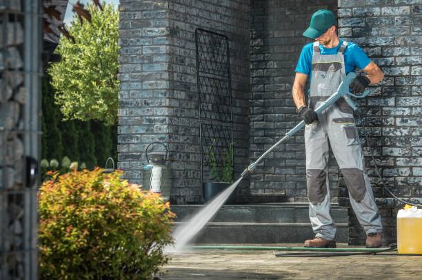 Animal Enclosure Cleaning in Patton Village, TX